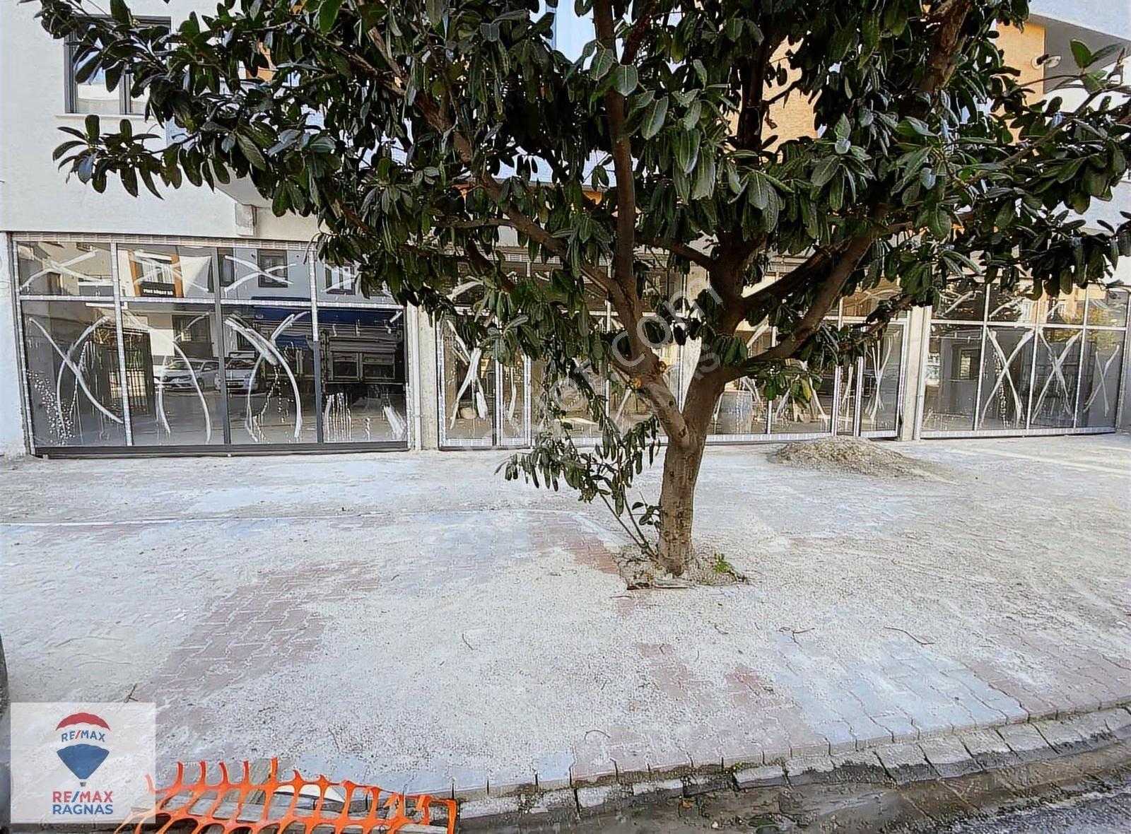 Şıle Otobanına Yakın Kurumsal Şirketlere Uygun Kiralık İş Yeri - Görsel 14