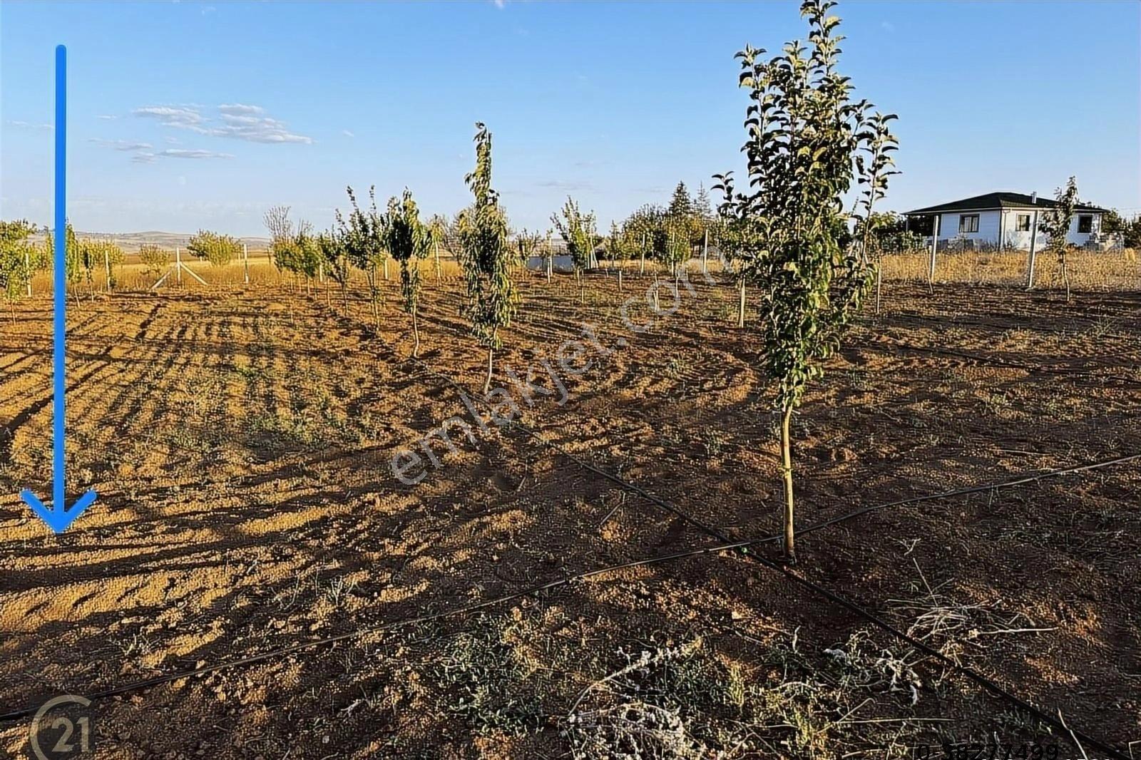 Gölbaşı Karaali Site İçinde Müstakil 2.300m2 İmarlı Arsa - Görsel 3