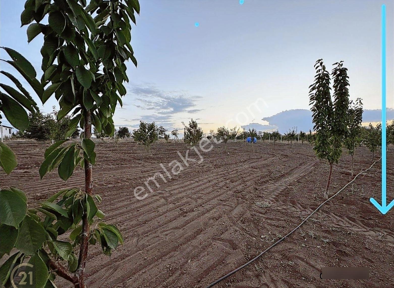 Gölbaşı Karaali Site İçinde Müstakil 2.300m2 İmarlı Arsa - Görsel 13