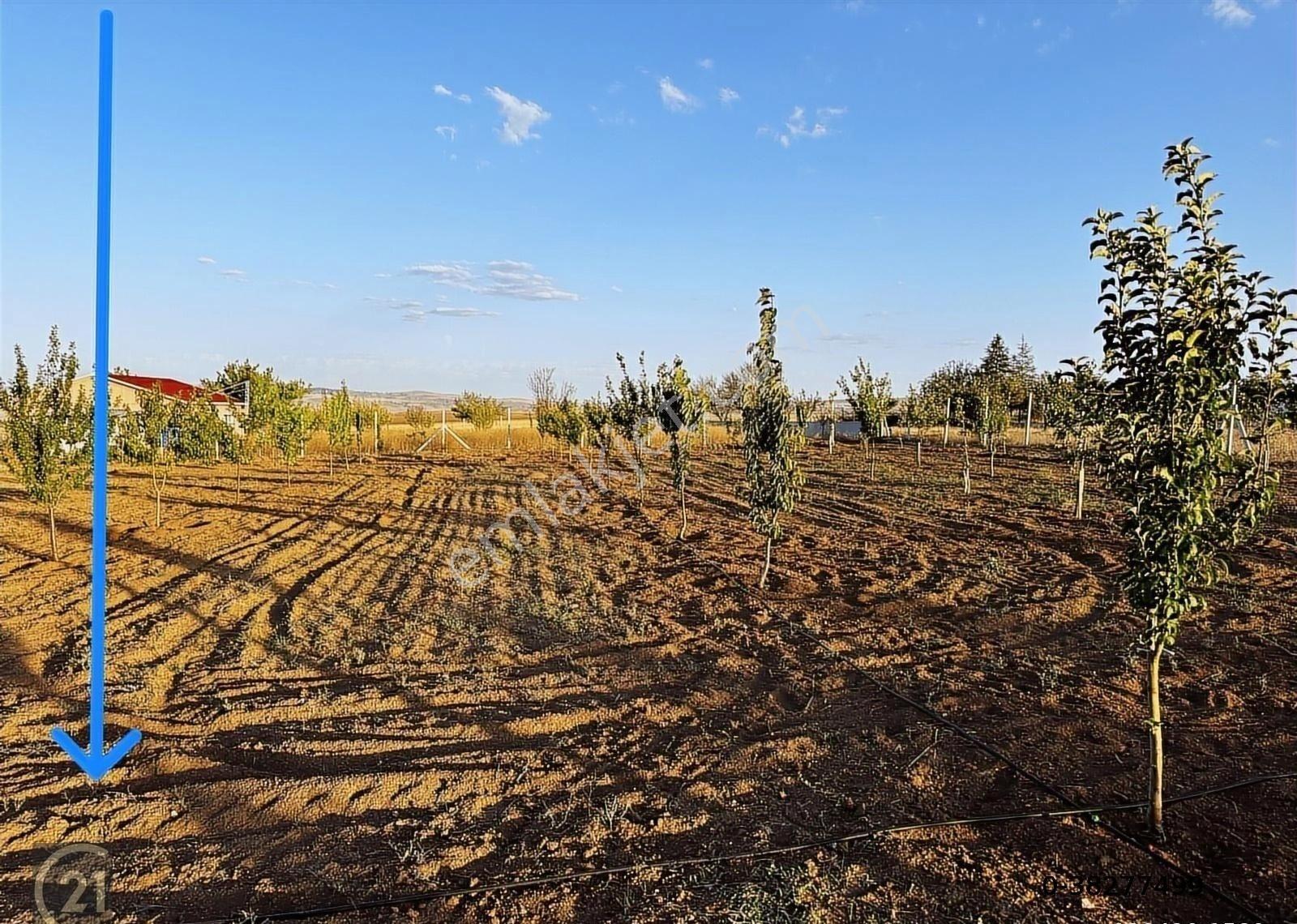 Gölbaşı Karaali Site İçinde Müstakil 2.300m2 İmarlı Arsa - Görsel 8