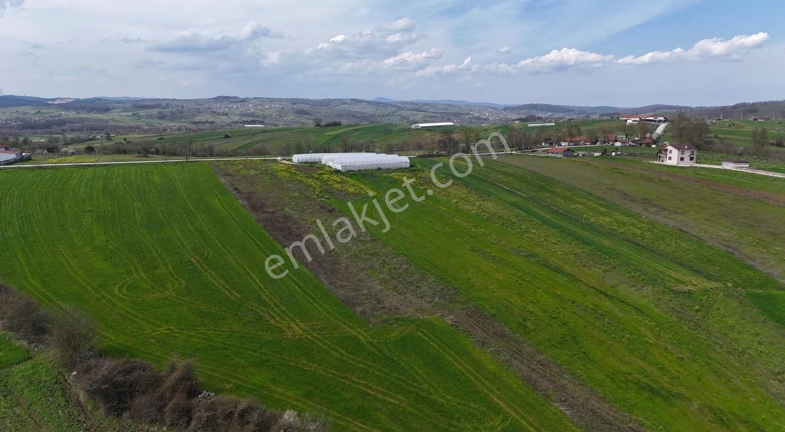 Yola Sıfır Tek Tapu Fırsat Arsa!!! - Görsel 6