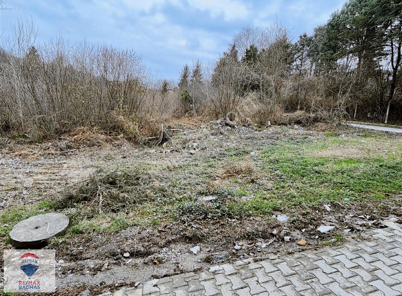 Şile Karakiraz Da Satılık 2649m2 Satılık İmarlı Köşe Arsa - Görsel 18