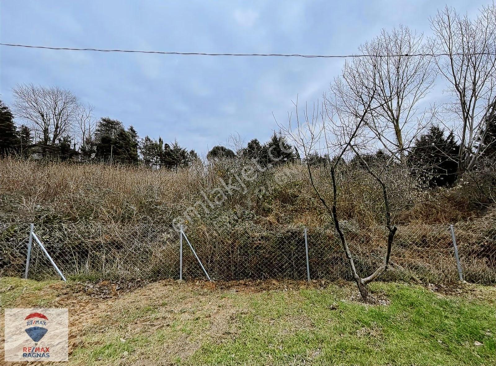 Şile Karakiraz Da Satılık 2649m2 Satılık İmarlı Köşe Arsa - Görsel 9