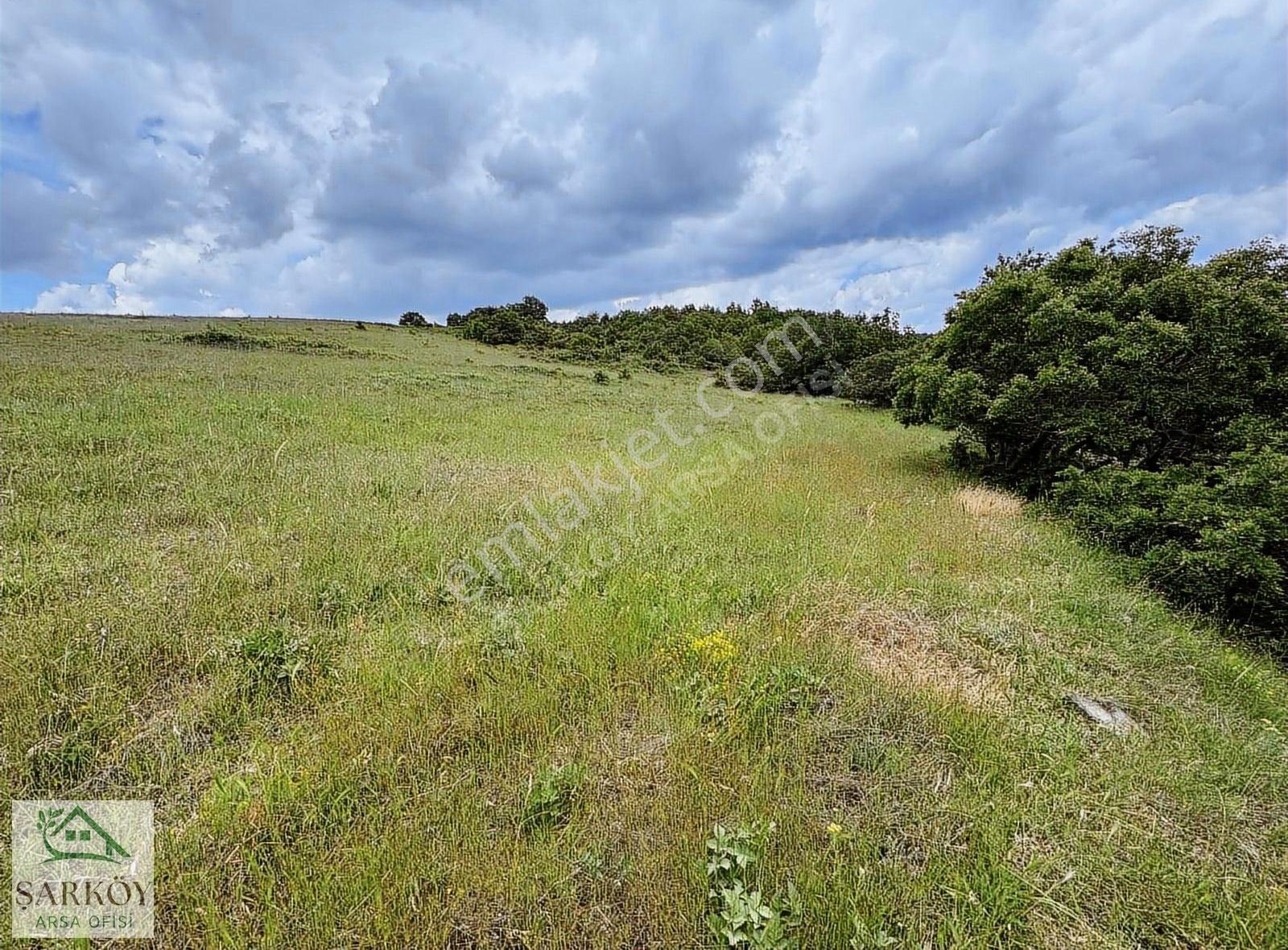 Ganosların Tepesinde Deniz Manzaralı 8200 M2 Yerinizi Ayırdık - Görsel 2