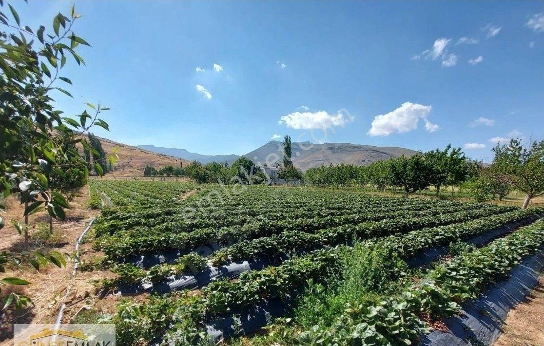 Satılık Müstakil Ev Ve Çilek Bahçesi - Görsel 11