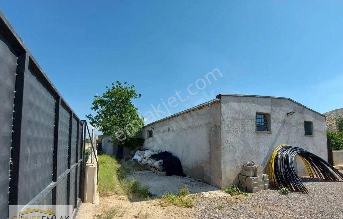 Satılık Müstakil Ev Ve Çilek Bahçesi - Görsel 5