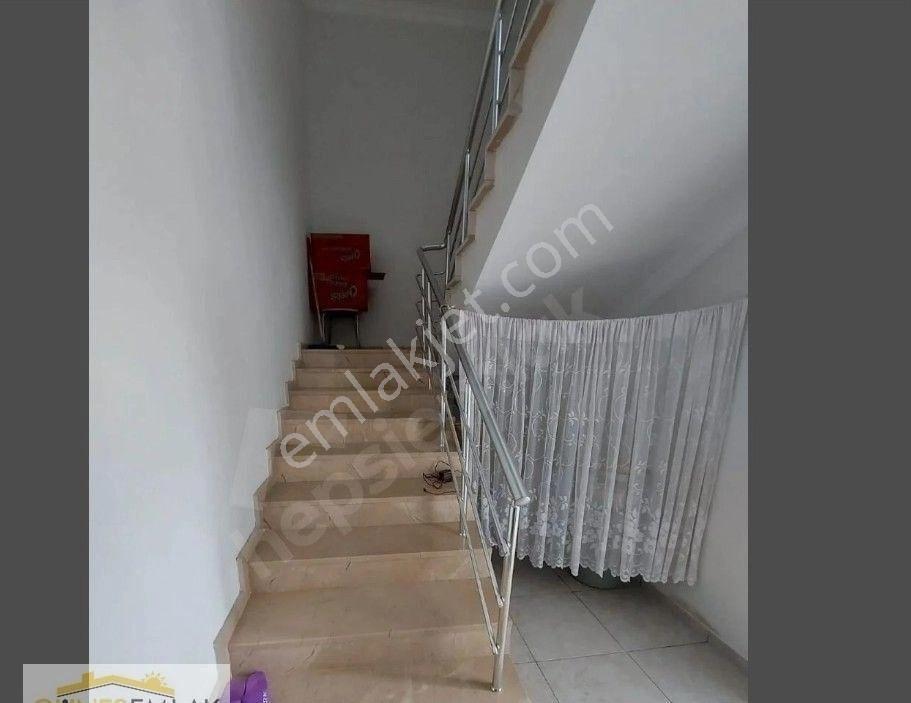 Satılık Müstakil Ev Ve Çilek Bahçesi - Görsel 21