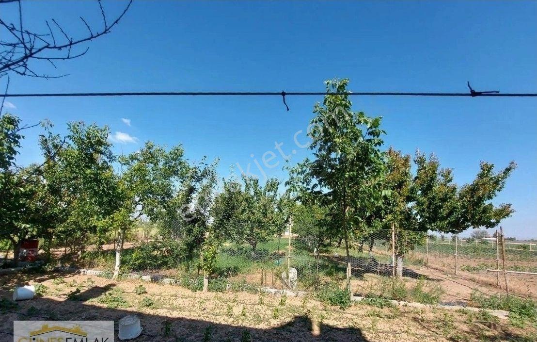 Satılık Müstakil Ev Ve Çilek Bahçesi - Görsel 8