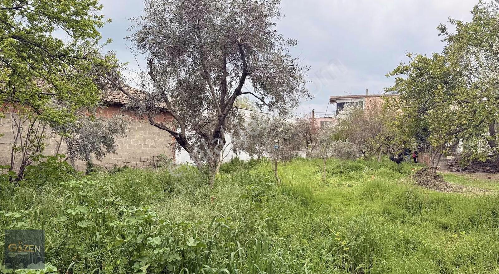 Aydın Efeler Umurluda Satılık 287 M² Arsa - Görsel 8