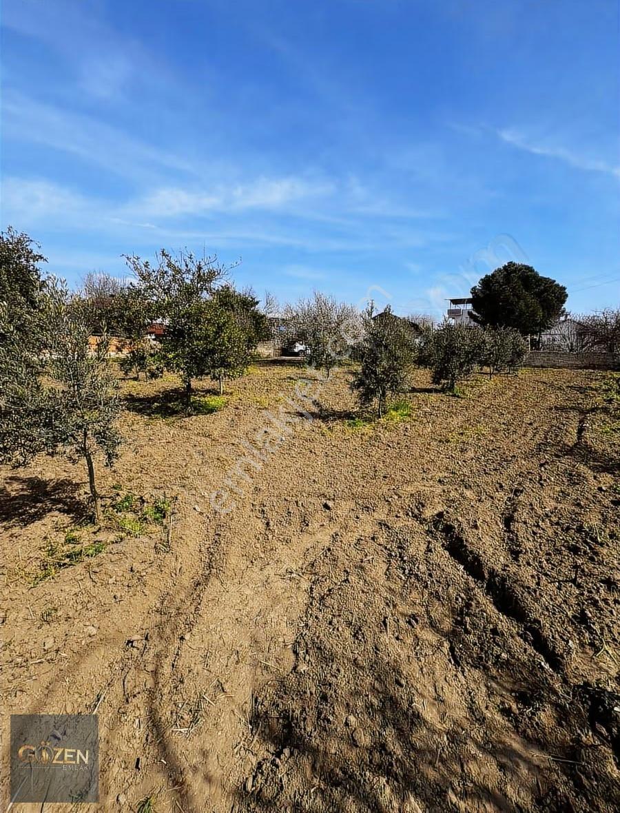 Aydın Efeler Umurlu Mah. 1290 M² Tek Tapu İmar İçinde Arsa - Görsel 9