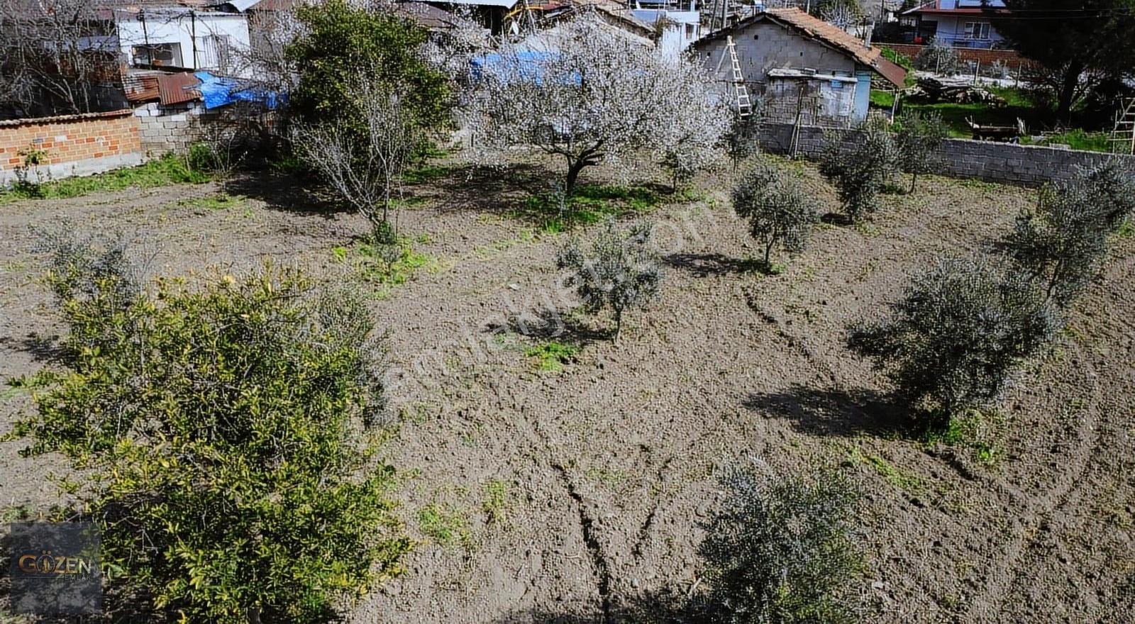 Aydın Efeler Umurlu Mah. 1290 M² Tek Tapu İmar İçinde Arsa - Görsel 6