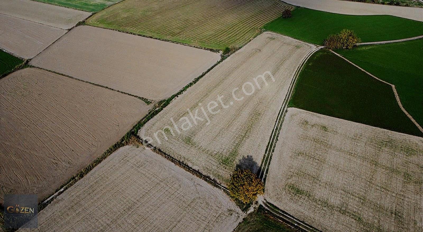 Umurlu Ovası Sulama Kanalı Dibinde 7873m² Verimli Tarım Arazisi - Görsel 2