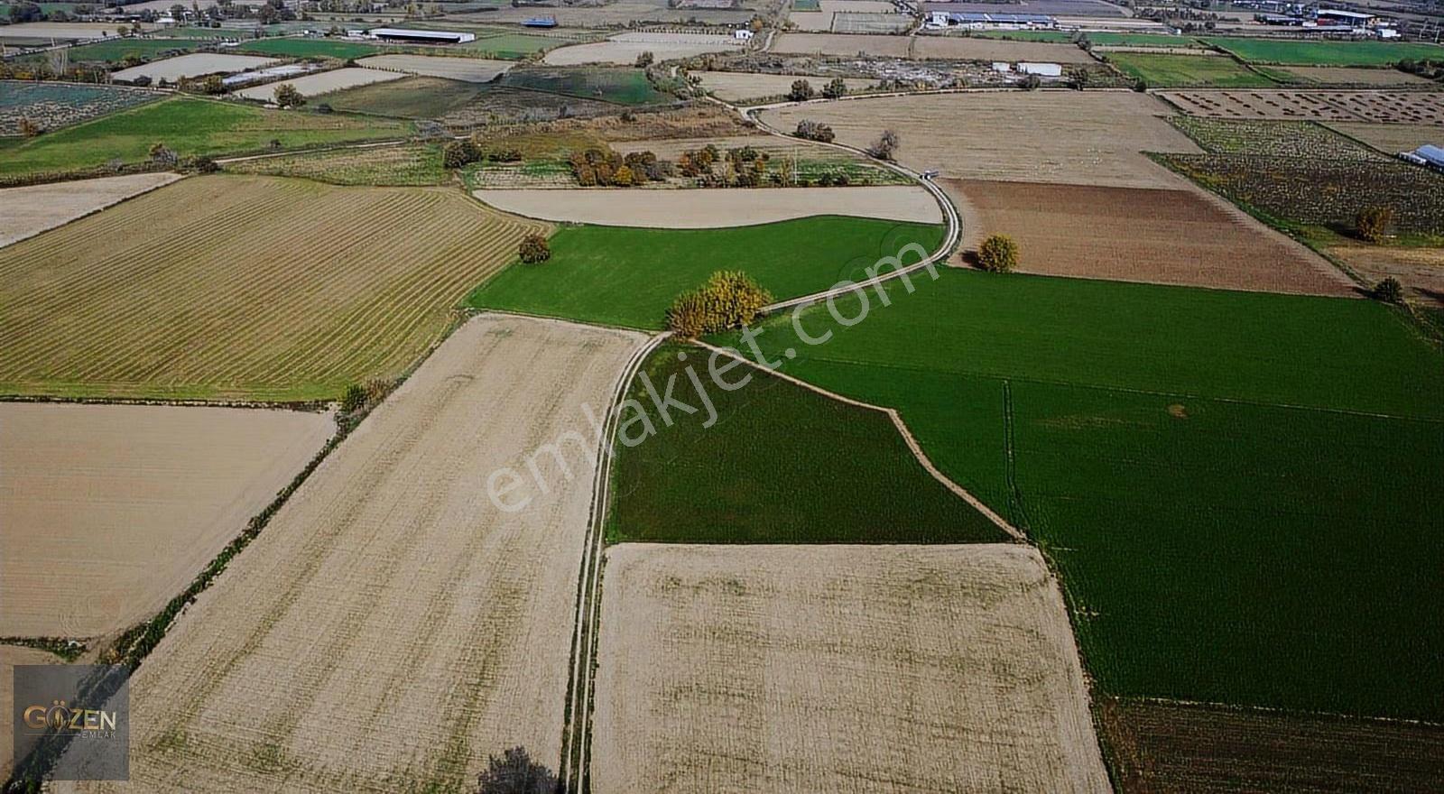 Umurlu Ovası Sulama Kanalı Dibinde 7873m² Verimli Tarım Arazisi - Görsel 5