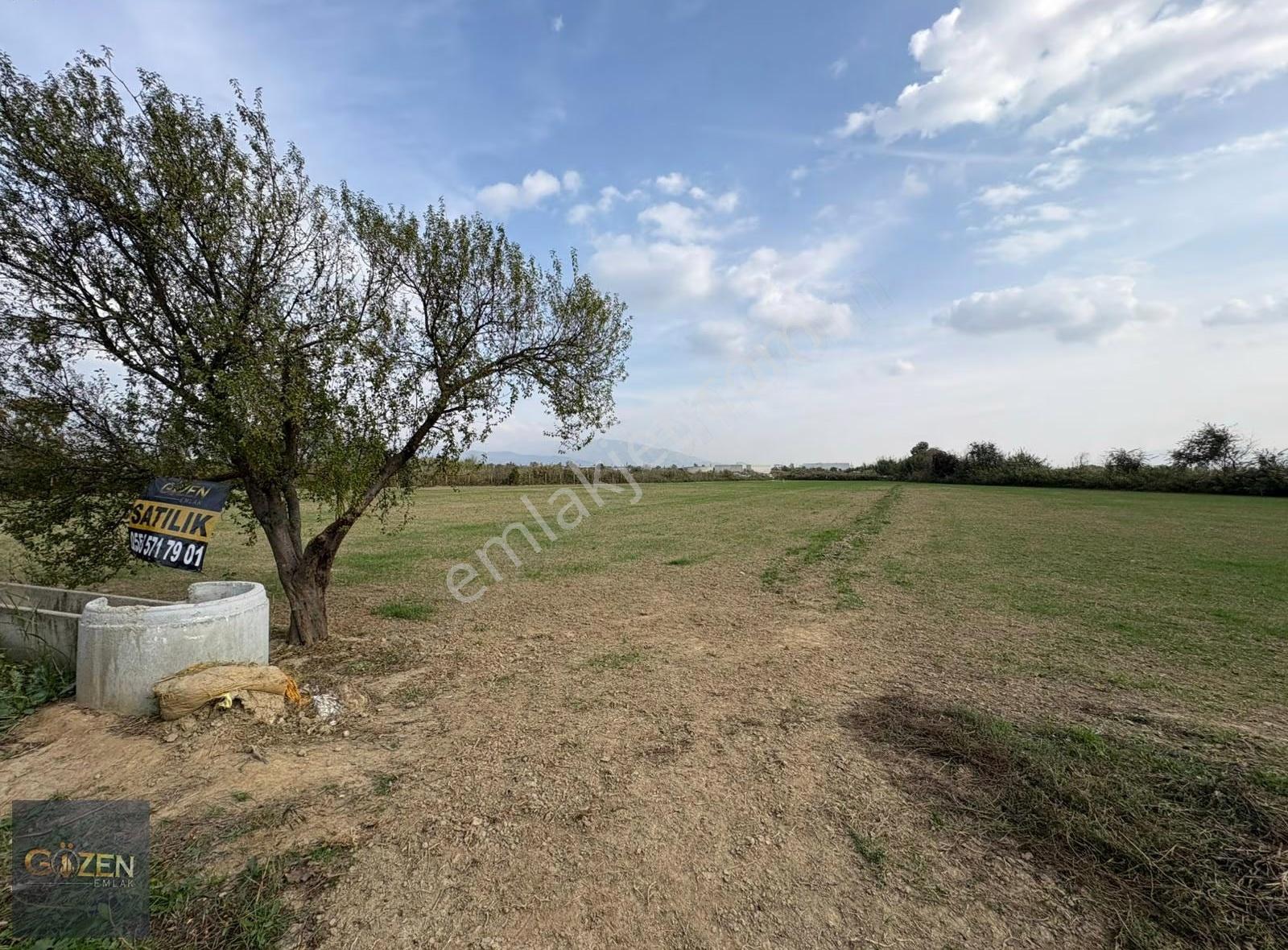 Anayola Yakın, Göl Manzaralı 8.409 M² Tarla Verimli Arazi - Görsel 11