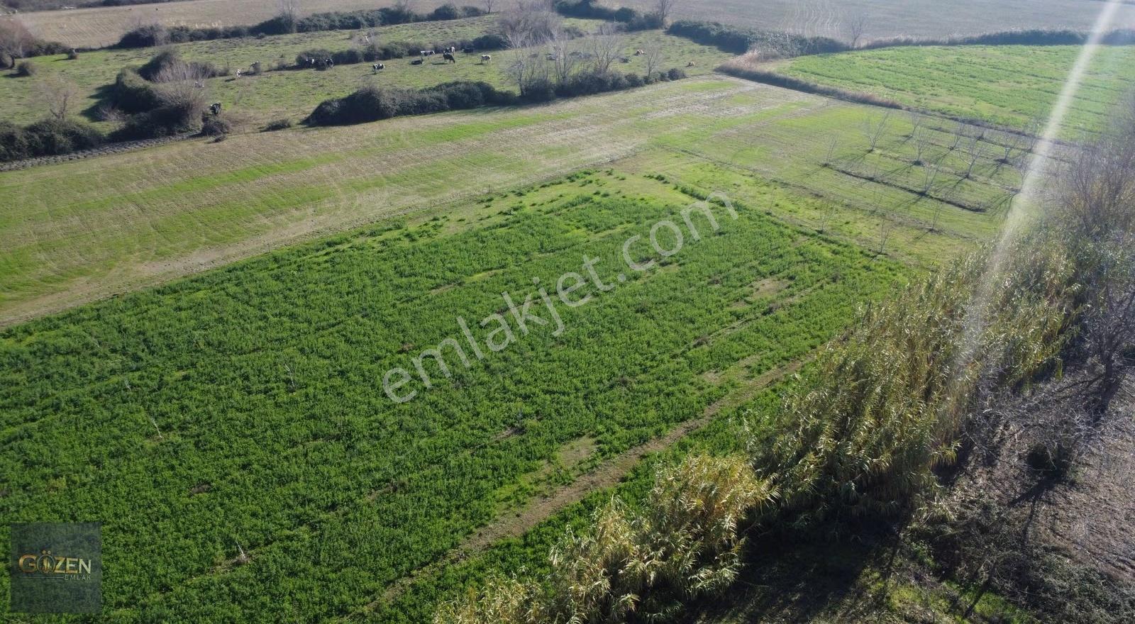 Efeler Umurlu Mahallesinde, 11.000 M² Tek Tapulu - Görsel 12