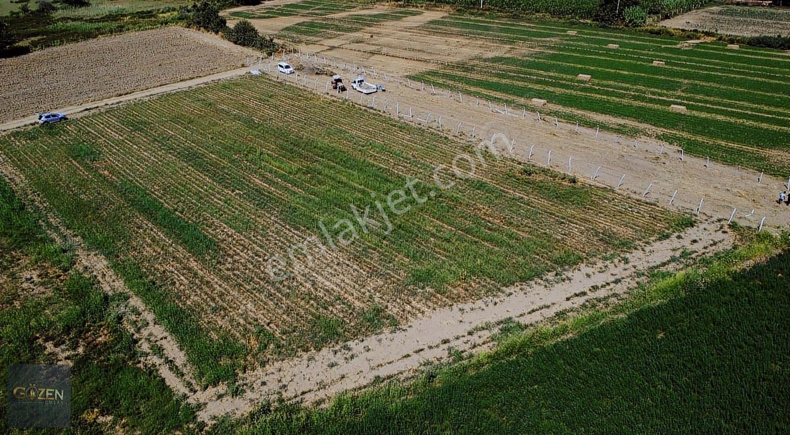 Aydın Efeler Umurluda Merkeze 2.5 Km 1281 M² Satılık Tarla - Görsel 3