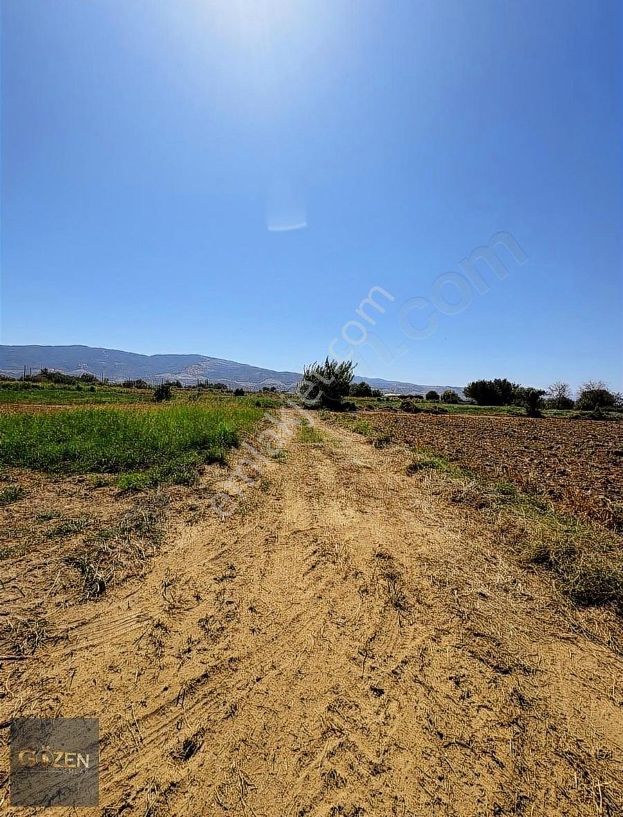 Aydın Efeler Umurluda Merkeze 2.5 Km 1281 M² Satılık Tarla - Görsel 7