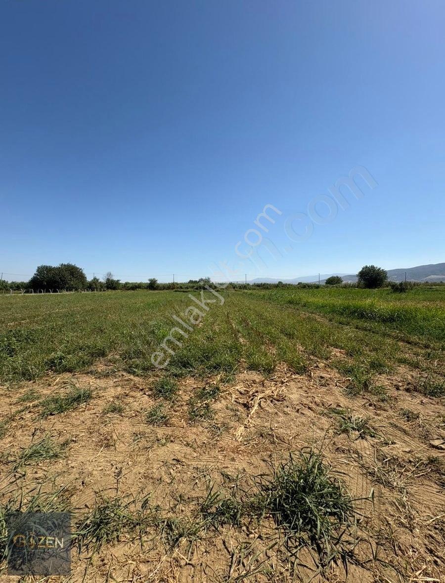 Aydın Efeler Umurluda Merkeze 2.5 Km 1281 M² Satılık Tarla - Görsel 12