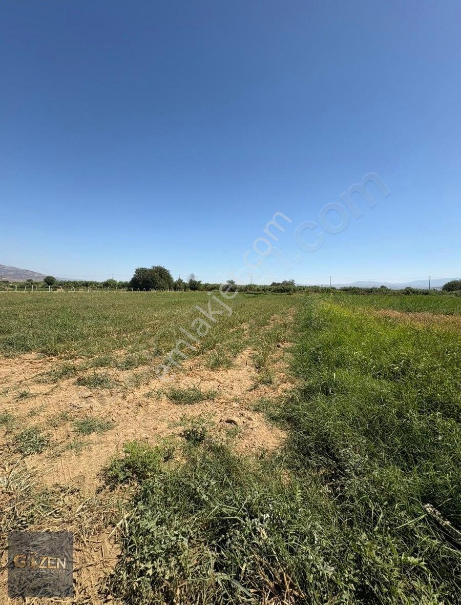 Aydın Efeler Umurluda Merkeze 2.5 Km 1281 M² Satılık Tarla - Görsel 2
