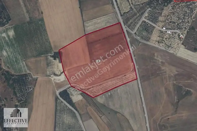 Antalya Serik Tekke Mahallesinde 6700 M² Satılık Tarla