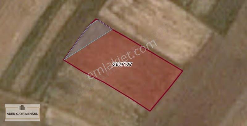 Tekirdağ Saray Beyazköy 8.704 M² Tek Tapu - Görsel 3