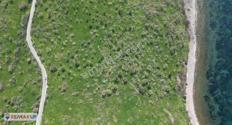 Dikili Denizköy'de Denize Sıfır 10.235 M² Satılık Arazi - Görsel 5