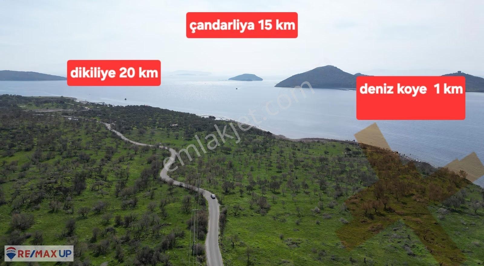 Dikili Denizköy'de Denize Sıfır 10.235 M² Satılık Arazi - Görsel 8