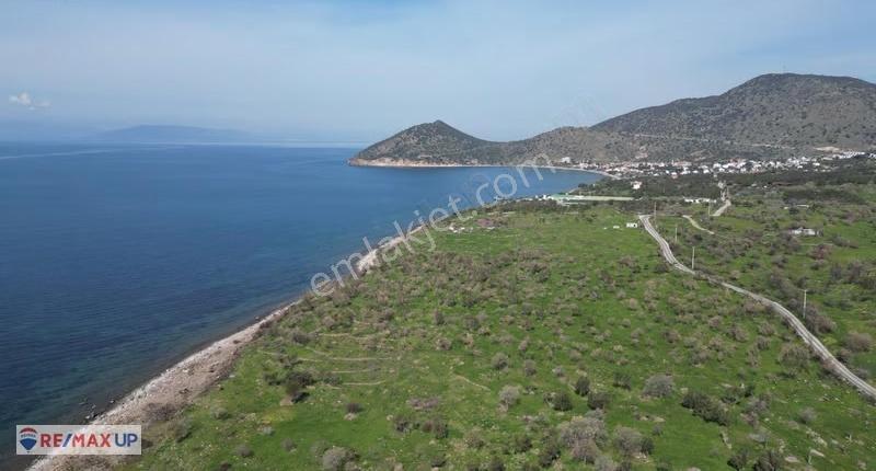 Dikili Denizköy'de Denize Sıfır 10.235 M² Satılık Arazi - Görsel 7