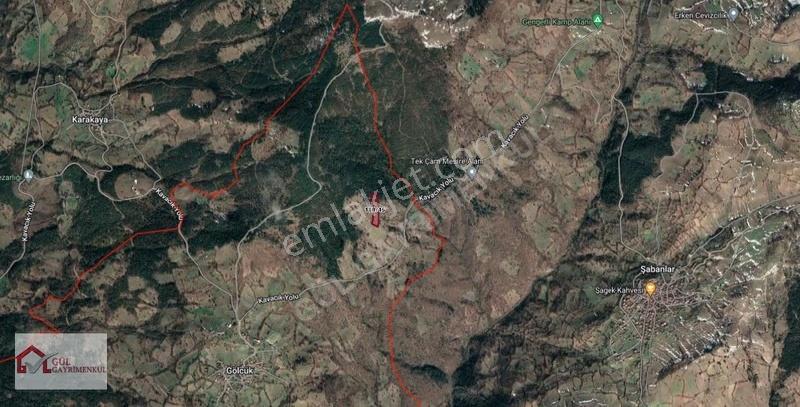 Balıkesir Dursunbey'de 138.615 M2 Yatırımlık Satılık Araziler - Görsel 5