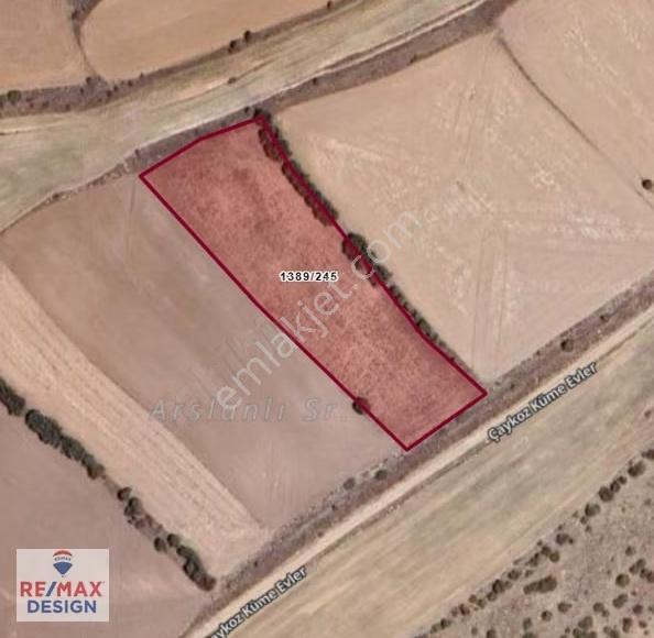 Eskişehir Sivrihisar Çaykoz'da Yola Cephe 5349 M2 Tarla - Görsel 4