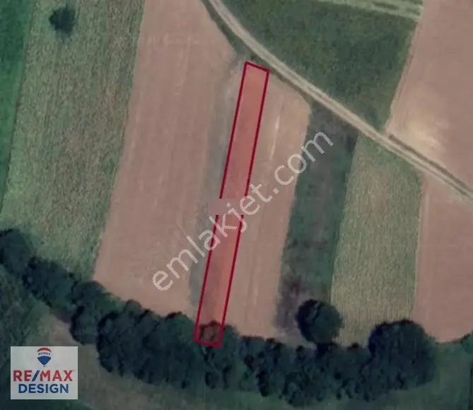 Sakarya Adapazarı Karadere Köyünde Yola Cephe 512 M2 Tarla - Görsel 3