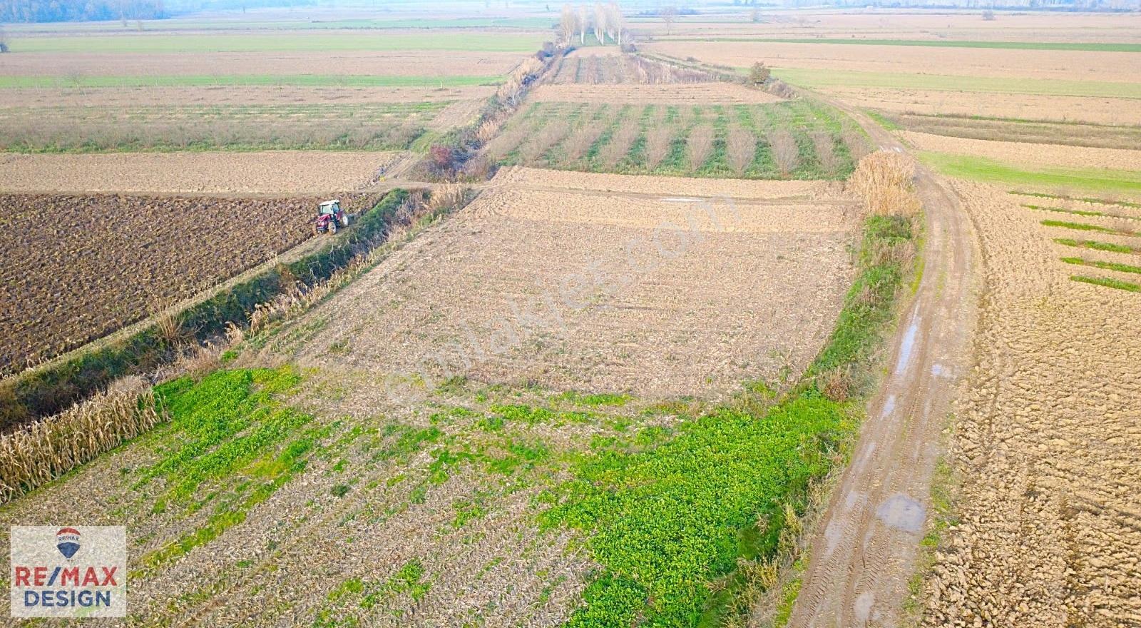 Sakarya Söğütlü Mağara Köyünde Yola Cephe 1070 M2 Tarla - Görsel 7