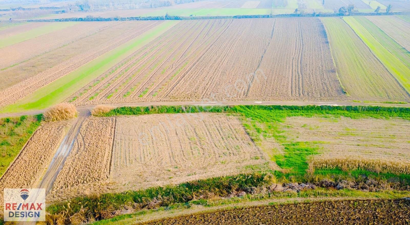 Sakarya Söğütlü Mağara Köyünde Yola Cephe 1070 M2 Tarla - Görsel 10