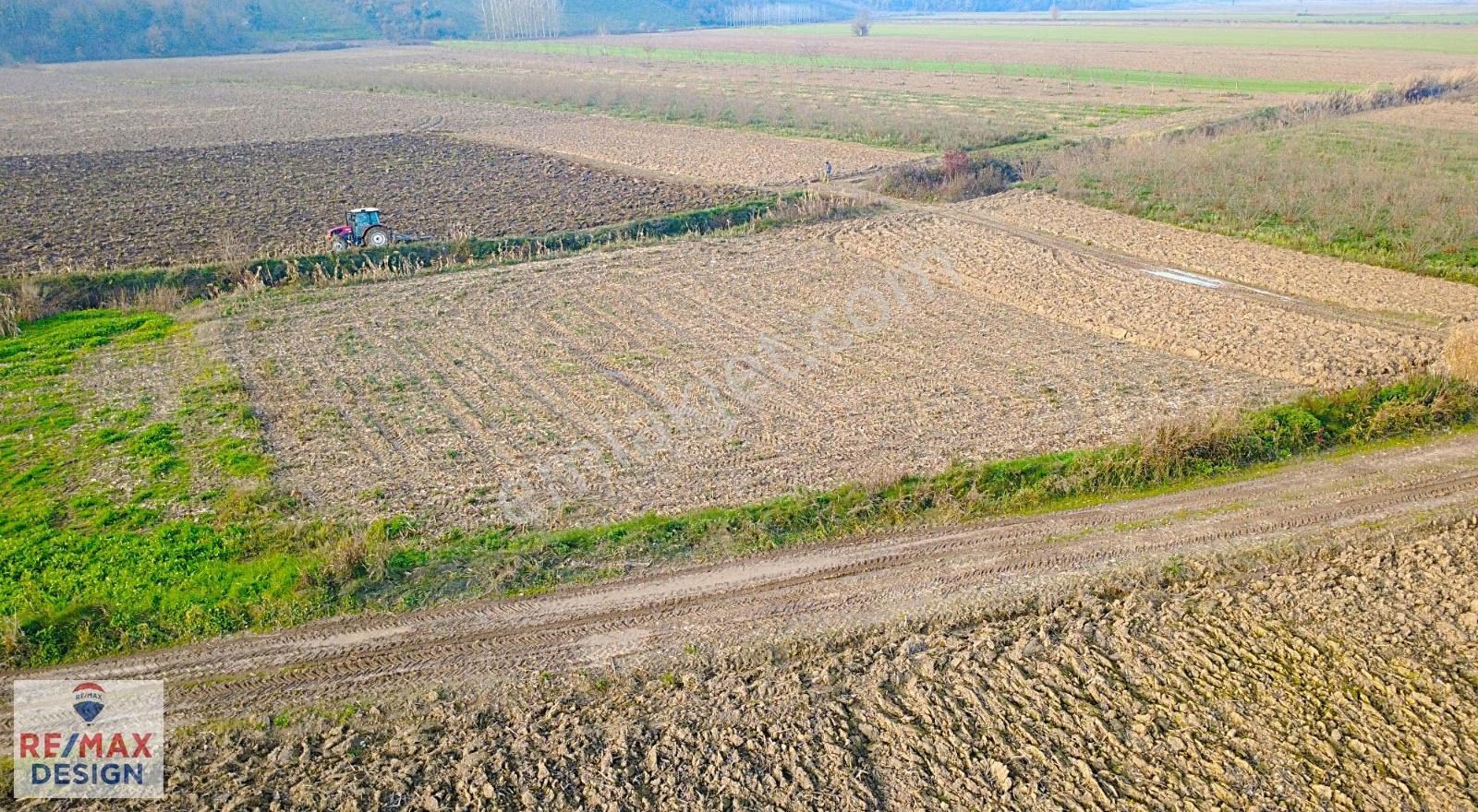 Sakarya Söğütlü Mağara Köyünde Yola Cephe 1070 M2 Tarla - Görsel 6