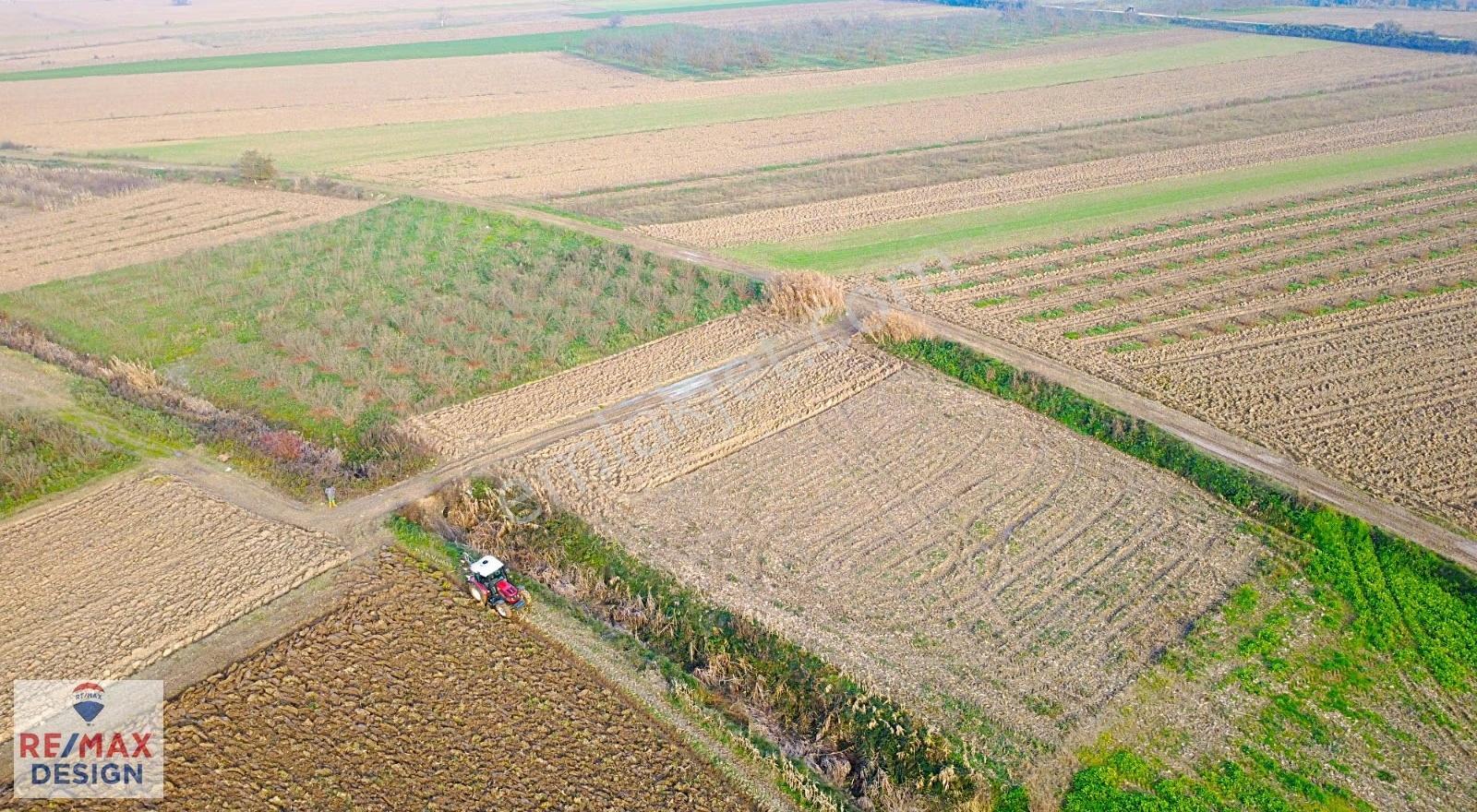 Sakarya Söğütlü Mağara Köyünde Yola Cephe 1070 M2 Tarla - Görsel 4
