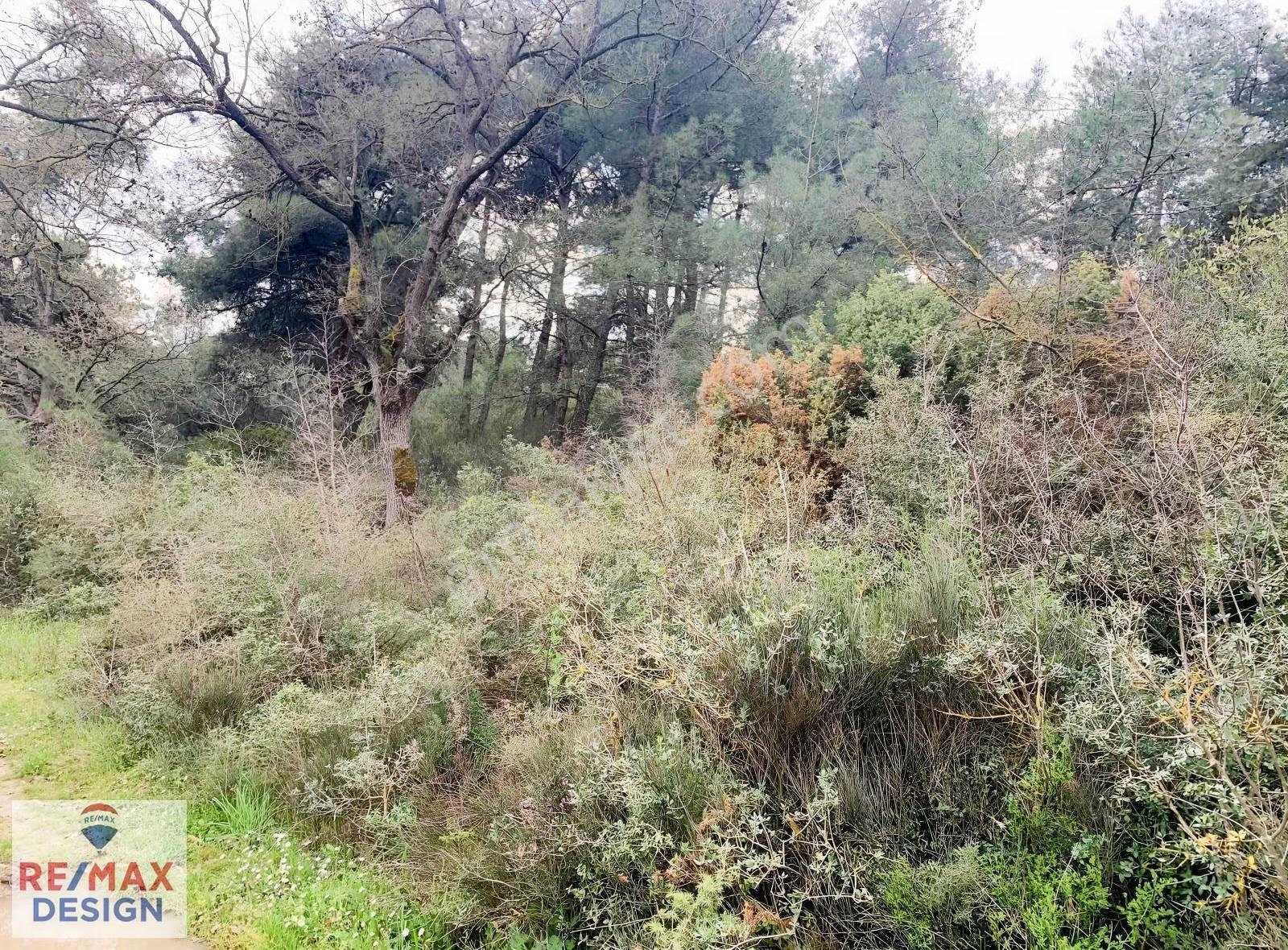 Sakarya Geyve Düzakçaşehir Mahallesi İmarlı 2831 M2 Arsa - Görsel 15