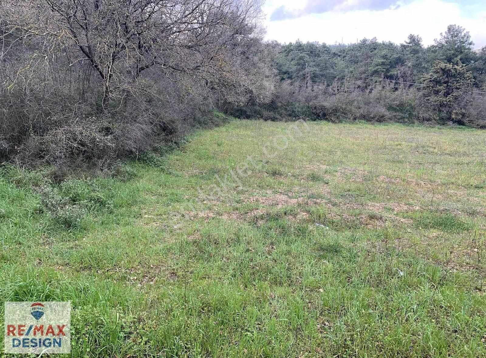Sakarya Geyve Düzakçaşehir Mahallesi İmarlı 2831 M2 Arsa - Görsel 18