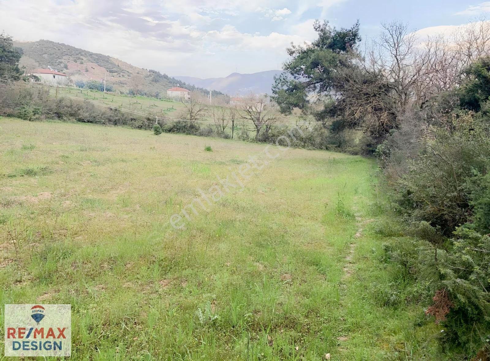 Sakarya Geyve Düzakçaşehir Mahallesi İmarlı 2831 M2 Arsa