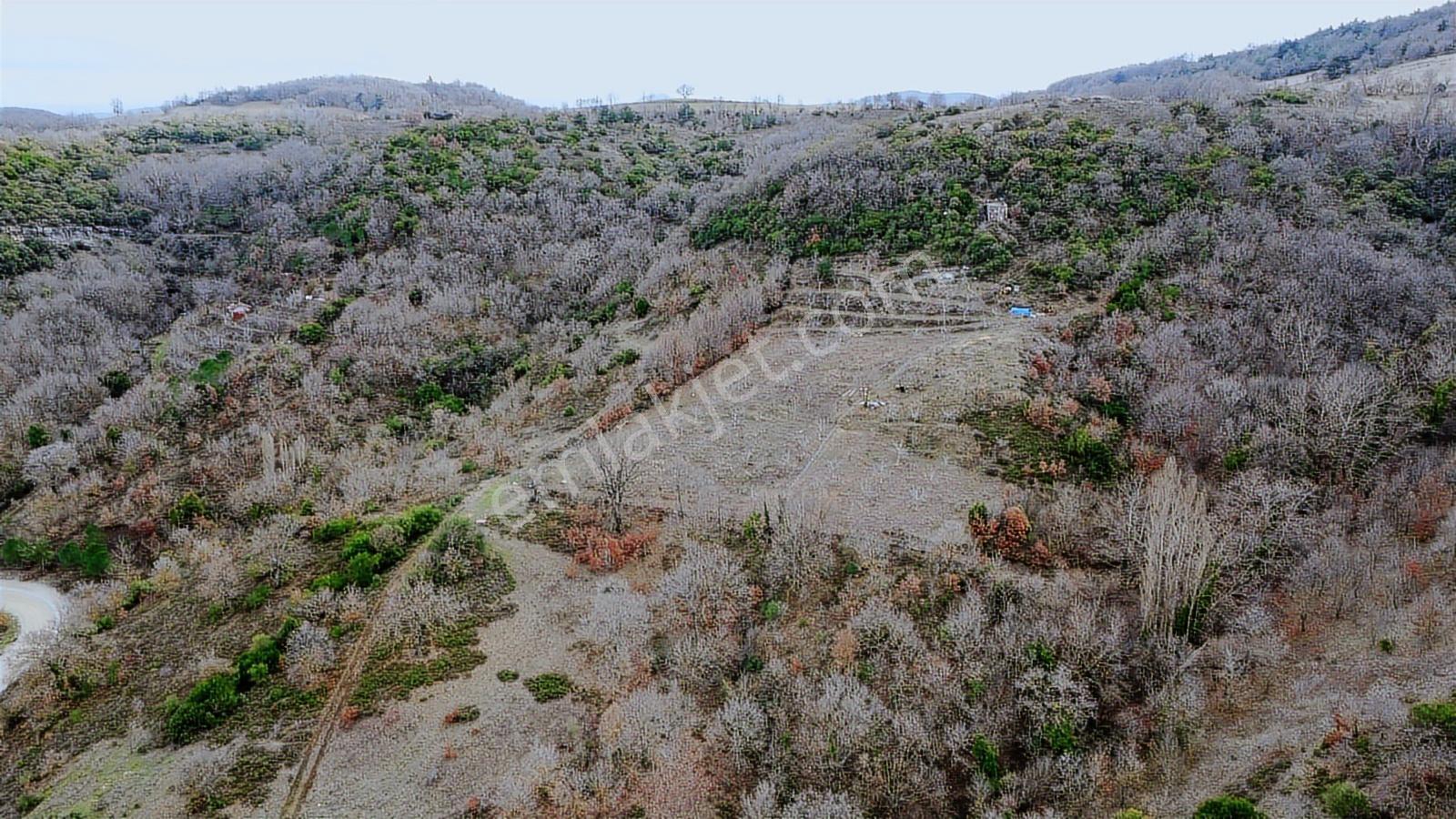 Çanakkale Biga Kozçeşme Satılık Su Havuzlu Cevizlik - Görsel 11