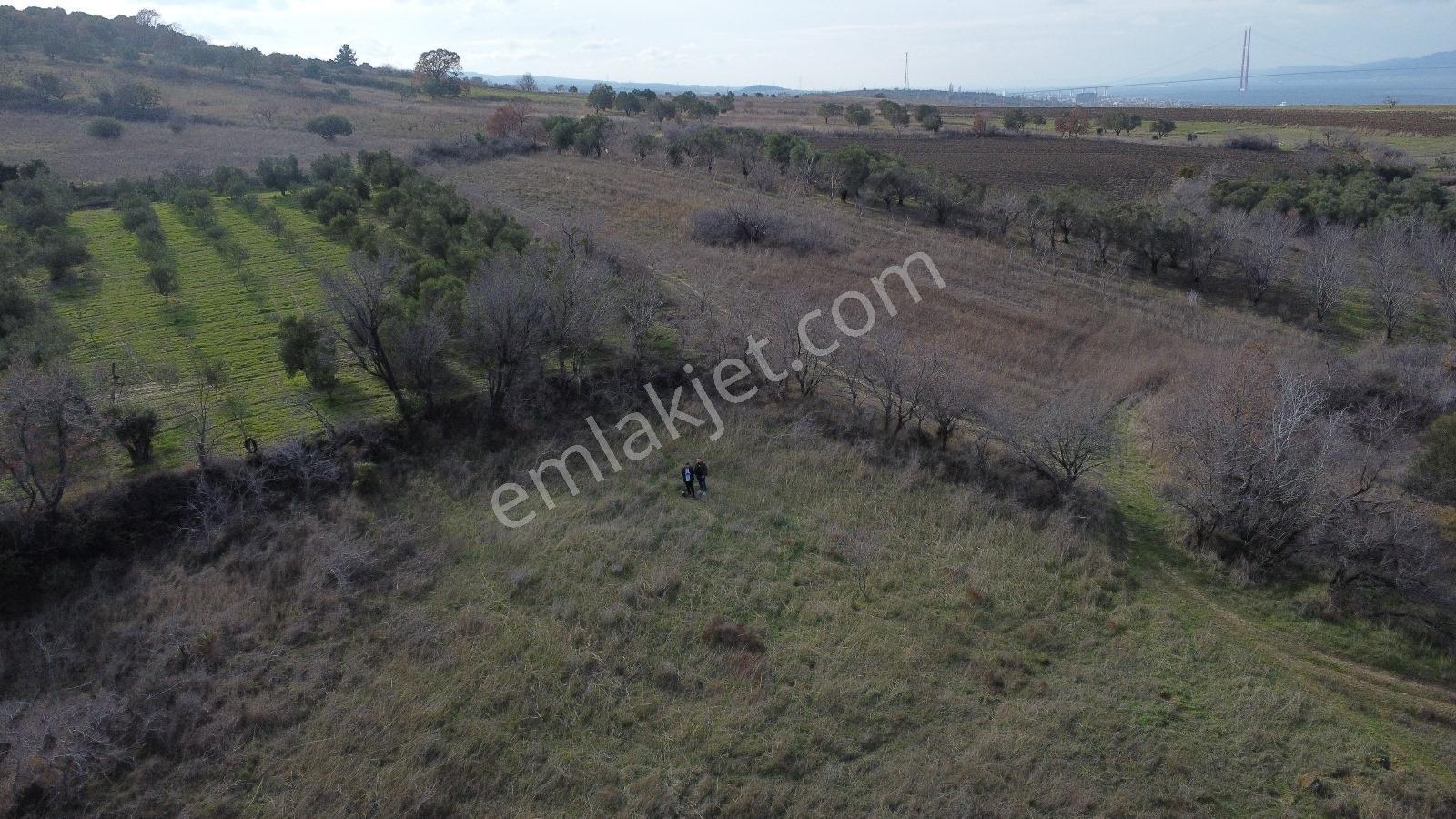 Çanakkale Biga Kozçeşme Satılık Su Havuzlu Cevizlik - Görsel 29