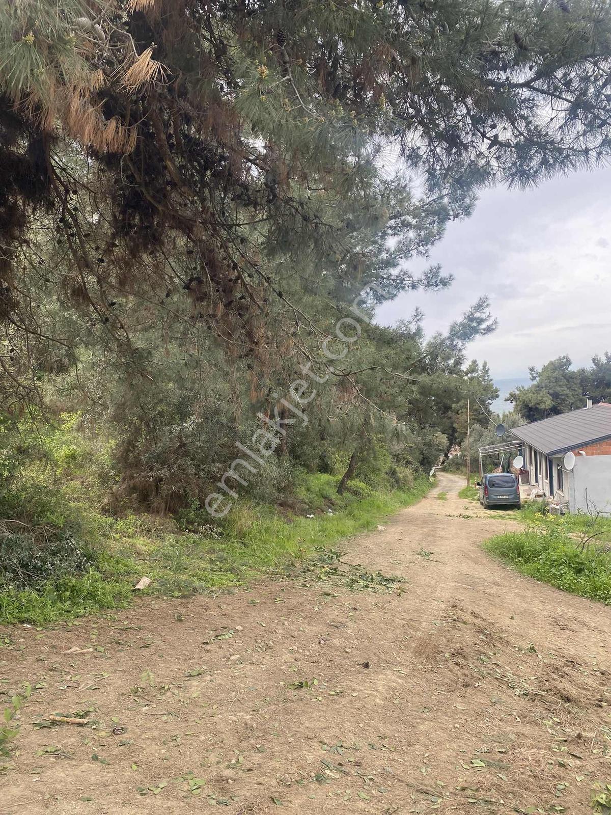 Kurşulu,da Deniz Manzaralı Villa Konut İmarlı Arsa - Görsel 35