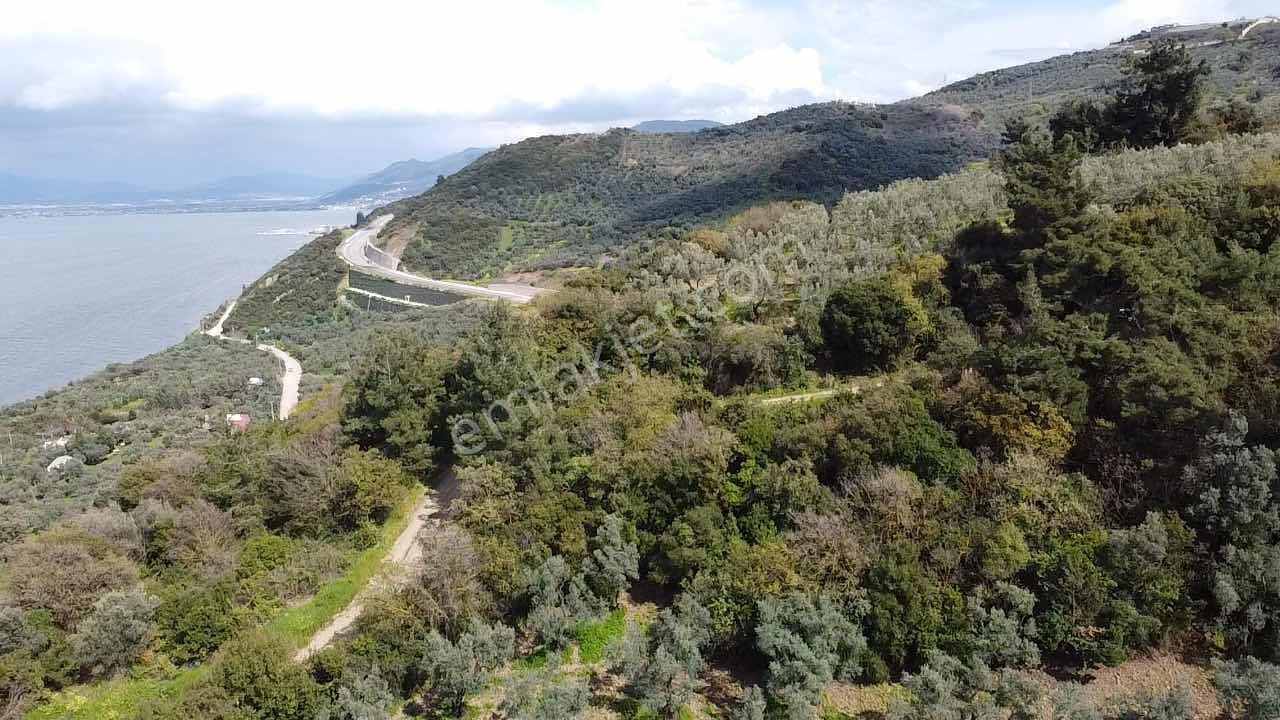 Kurşulu,da Deniz Manzaralı Villa Konut İmarlı Arsa - Görsel 32