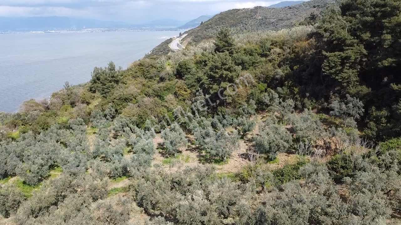 Kurşulu,da Deniz Manzaralı Villa Konut İmarlı Arsa - Görsel 15