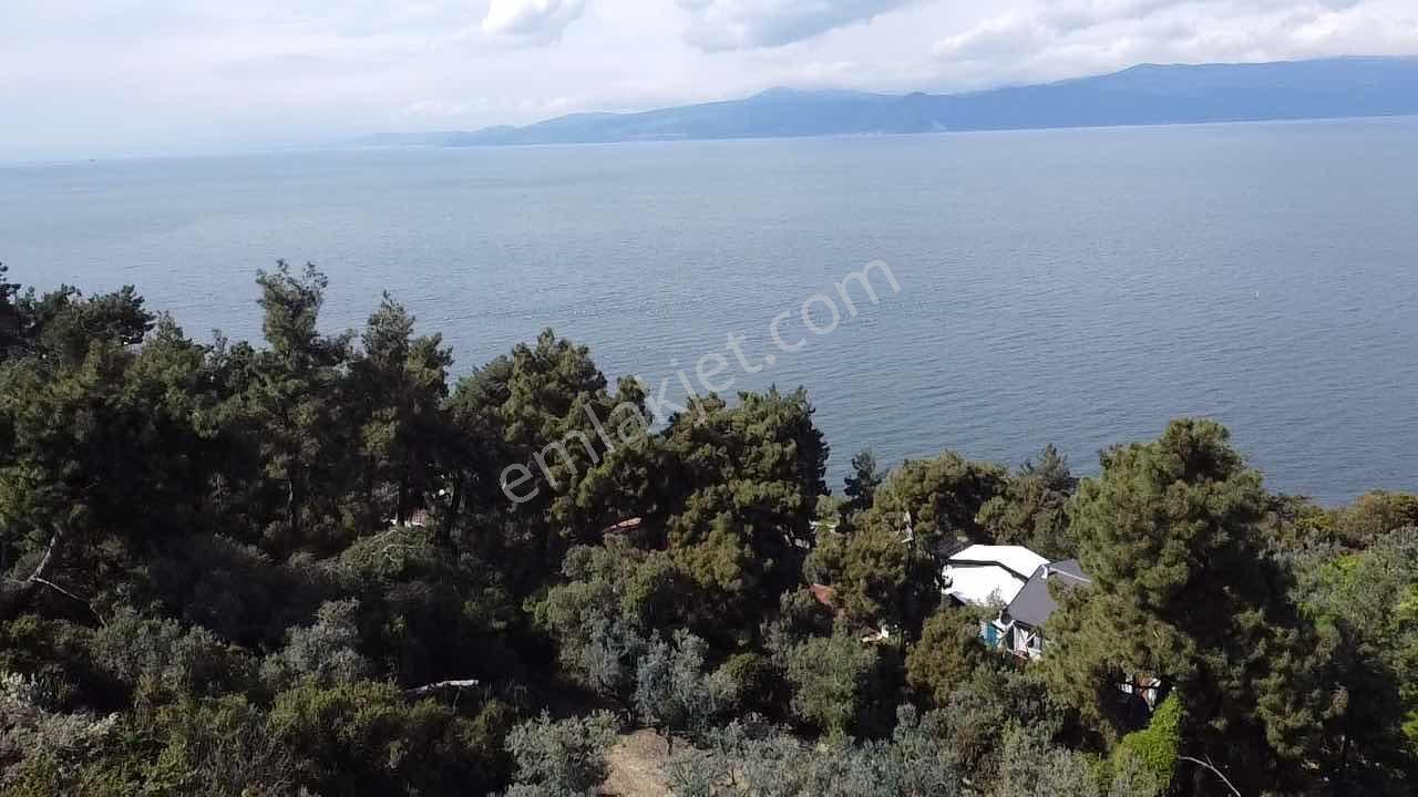 Kurşulu,da Deniz Manzaralı Villa Konut İmarlı Arsa - Görsel 7