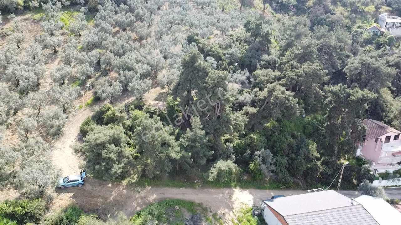 Kurşulu,da Deniz Manzaralı Villa Konut İmarlı Arsa - Görsel 22