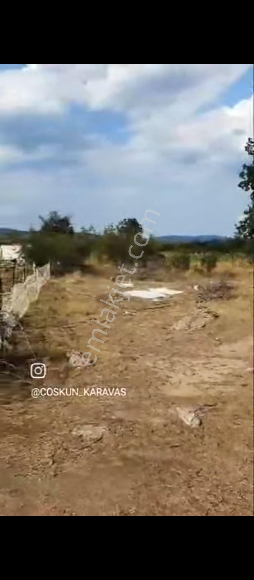 Kırklareli Hacı Farklı Pınarhisar - Görsel 8