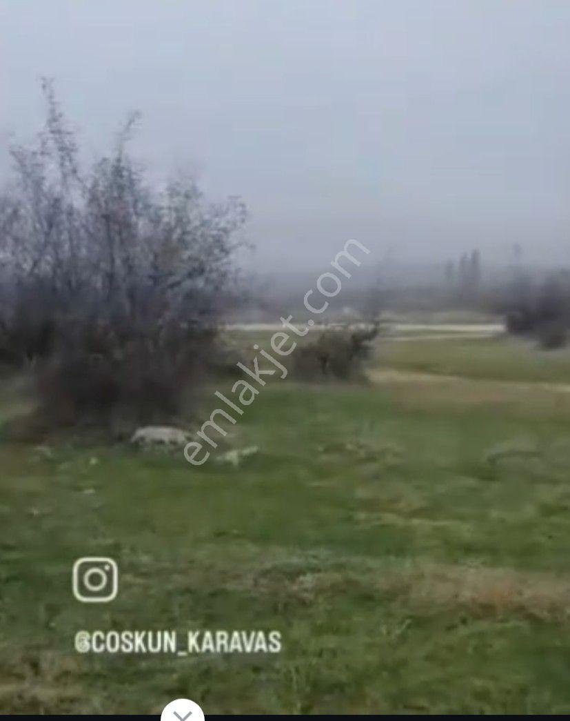 Kırklareli Hacı Farklı Pınarhisar - Görsel 4