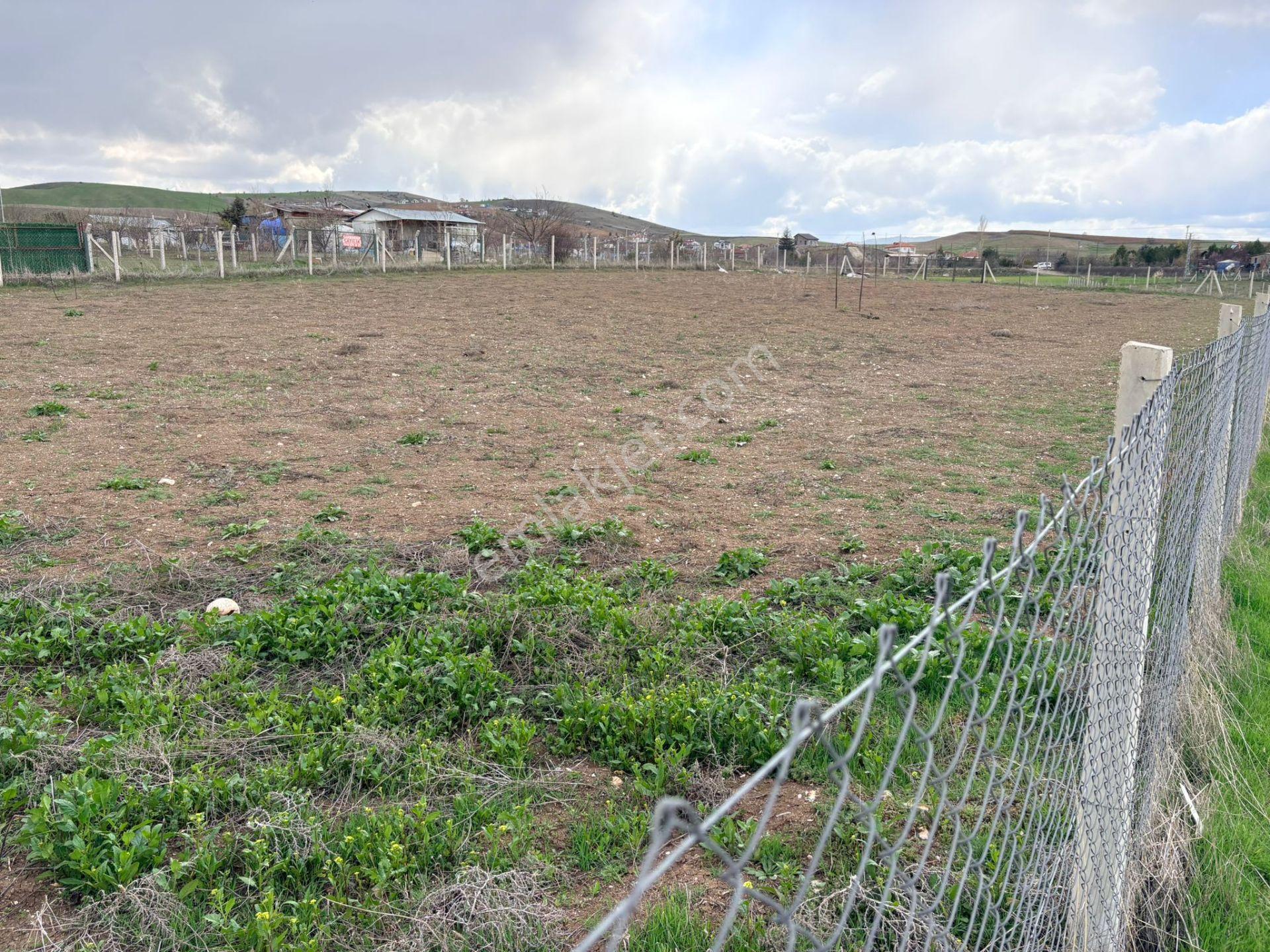 İmaremlak2'den 1528m2 Telle Çevrili Kök Tapu Hobi Bahçesi - Görsel 16