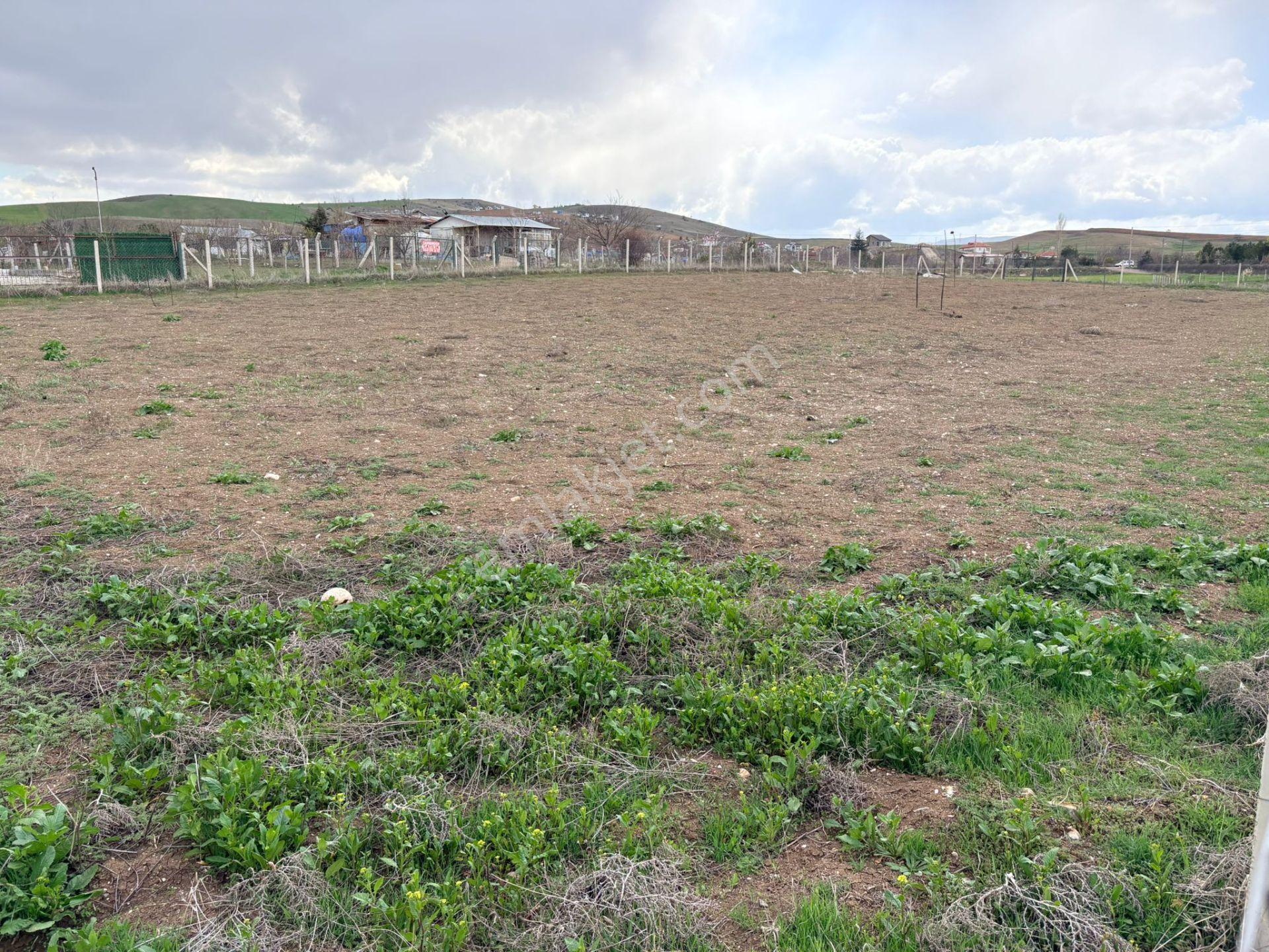 İmaremlak2'den 1528m2 Telle Çevrili Kök Tapu Hobi Bahçesi - Görsel 14