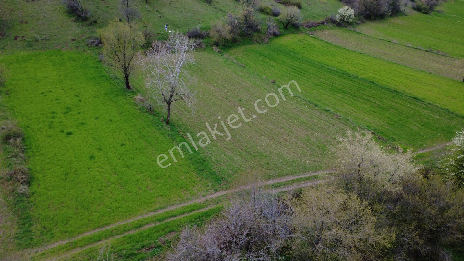 Tokat Turhal Çayıraltı Köyünde Satılık Tarla - Görsel 20